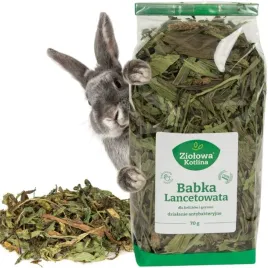 ziolowa-kotlina-babka-lancetowata-dla-gryzoni-70g