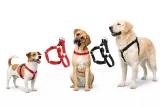 dingo-easy-walk-szelki-treningowe-dla-psa-60-stan-nowy
