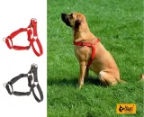 dingo-easy-walk-szelki-treningowe-dla-psa-60-marka-dingo