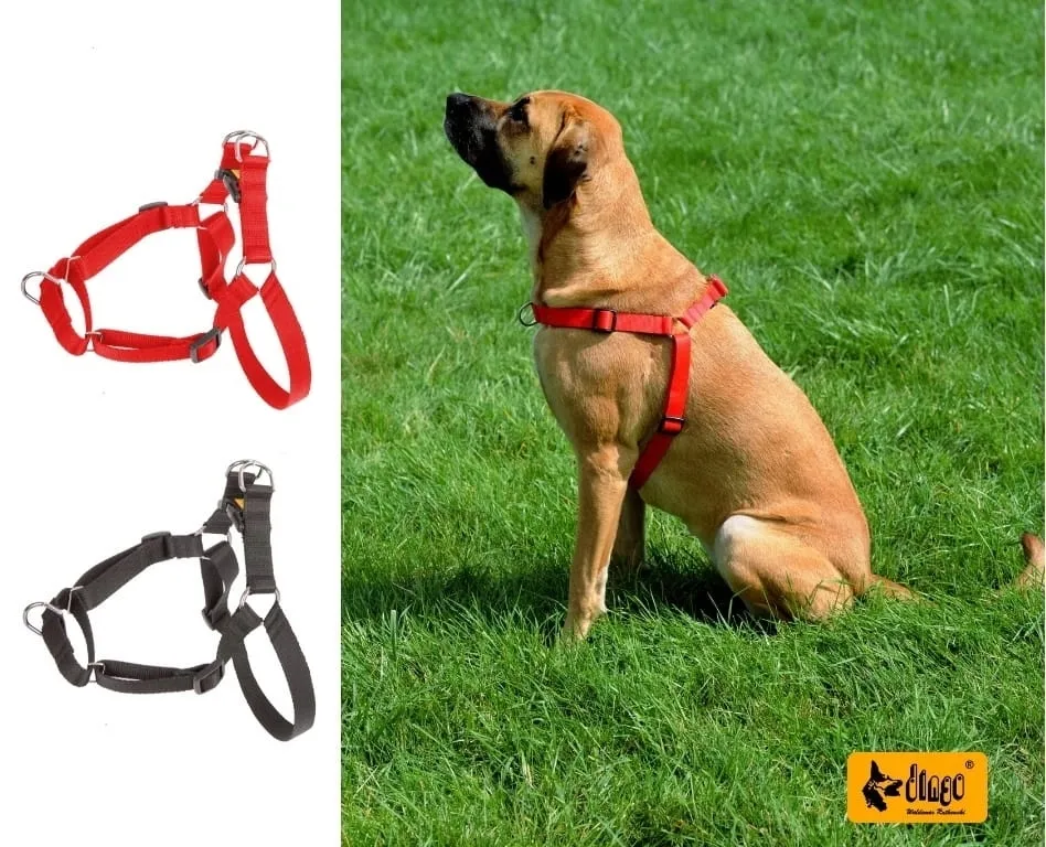 dingo-easy-walk-szelki-treningowe-dla-psa-60