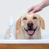 vetexpert-hypoallergenic-shampoo-250ml-rodzaj-szampon