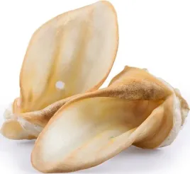 uszy-wolowe-duze-biale-i-gatunek-luzem