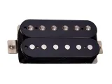 tonerider-alnico-2-classics-bk-neck