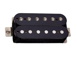 tonerider-alnico-2-classics-bk-neck