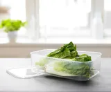 pojemnik-plast-team-helsinki-3l-rodzaj-do-produktow-sypkich