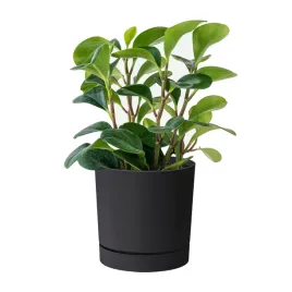 doniczka-tworzywo-sztuczne-szary-prosperplast-108-cm-x-108-x-109-cm