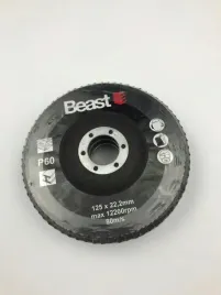 tarcza-scierna-beast-p40-125-mm-3-szt