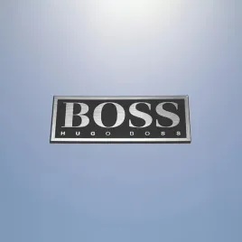 hugo-boss-60x22mm-srebrny-emblemat-naklejka-logo-znaczek-symbol-2-zamiennik