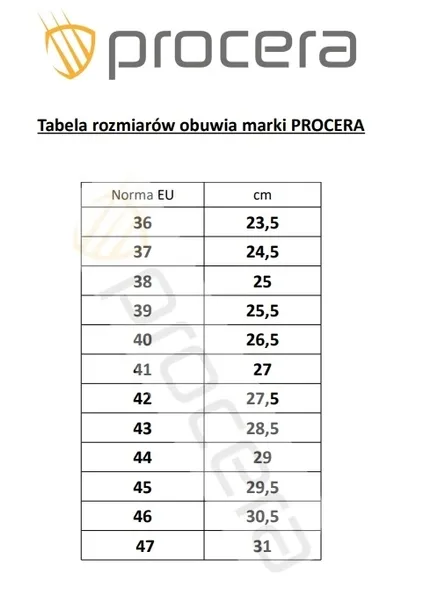 klapki-procera-bialy-37-dlugosc-wkladki-24-5-cm