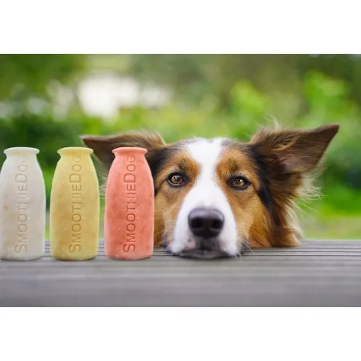 smoothiedog-silikonowa-forma-do-lodow-350ml-stan-nowy