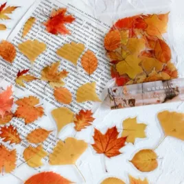 scrapbooking-naklejki-ozdobne-artystyczne-vintage-dziennika-planera-liscie