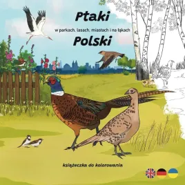 ptaki-w-parkach-lasach-miastach-i-na-lakach-ksenia-potepa