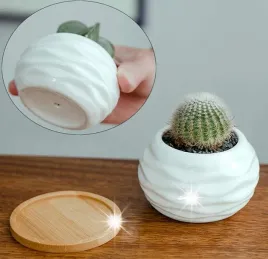 doniczka-ceramiczna-mini-ozdobna-biala-z-drewniana-podkladka
