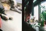 aparat-kodak-ektar-h35-marka-kodak-kod-producenta-4897116930224