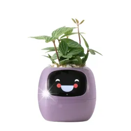 doniczka-ivy-planter-inteligentna-oslonka-smart-donica-porady-ogrodnicze