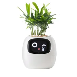 inteligentna-doniczka-ivy-smart-planter-oslonka-na-donice-plantsio-biala