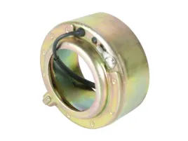 cewka-kompresora-valeo-zexel-12v