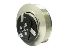 sprzeglo-kompresora-renault-sanden-5010605063-7482492298-sd7h15-8192