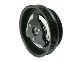 sprzeglo-kompresora-audi-vw-sanden-pxe-1k082808e-1k0820859g-1k0820808g