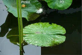filtr-hoya-49mm-polaryzacyjny-cir-pl-ux-ii-smukly