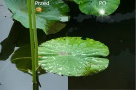 filtr-40-5mm-hoya-polaryzacyjny-cir-pl-ux-ii-polar