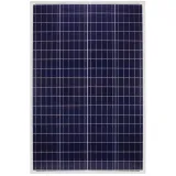 panel-volt-polska-110-w-rodzaj-panel