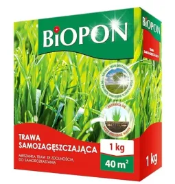 trawa-samozageszczajaca-nasiona-mieszanka-traw-biopon-1kg-samorozrastanie
