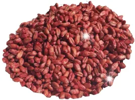 10kg-trutka-ratimor-ziarno-trucizna-myszy-szczury
