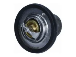 termostat-land-rover-defender-2-4