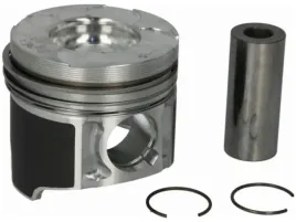 tlok-mahle-012-30-00