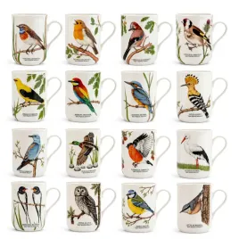 16-x-kubek-porcelanowy-kolekcja-ptaki-polski-300-ml-kubki-kpl-zestaw