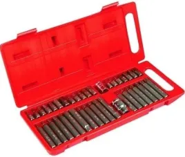 zestaw-bitow-torx-spline-hex-40-szt-silver