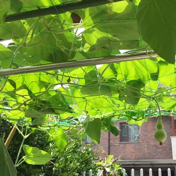 pergola-bambus-drabinka-500-cm-waga-z-opakowaniem-0-04-kg