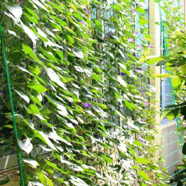 pergola-bambus-drabinka-500-cm-wysokosc-produktu-500-cm