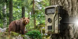 fotopulapka-kamera-obserwacyjna-redleaf-rf06-filmy-4k-nocny-tryb