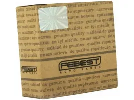 krzyzak-polosi-febest-0516-dy3wat