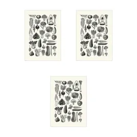 3-szt-bild-plakat-rozne-warzywa-50x70-cm