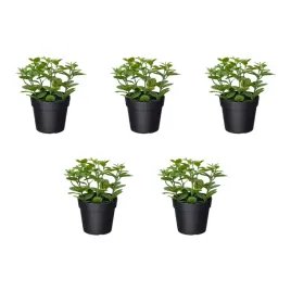 5-szt-sztuczna-roslina-doniczkowa-mieta-9-cm-do-wnetrz-i-na-zewnatrz