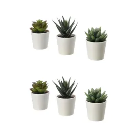 2-szt-sztuczne-sukulenty-w-doniczce-6-cm-3-szt-fejka