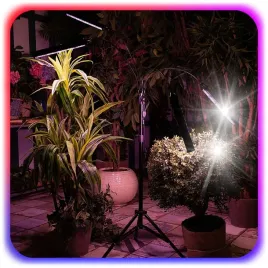 lampa-stojaca-grow-do-uprawy-roslin-niktrade-34-w