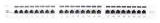 patch-panel-ftp-cat-6-24-porty-szary-getfort-waga-z-opakowaniem-1-kg