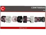 silnik-dmuchawy-casco-cbw75005as-stan-nowy