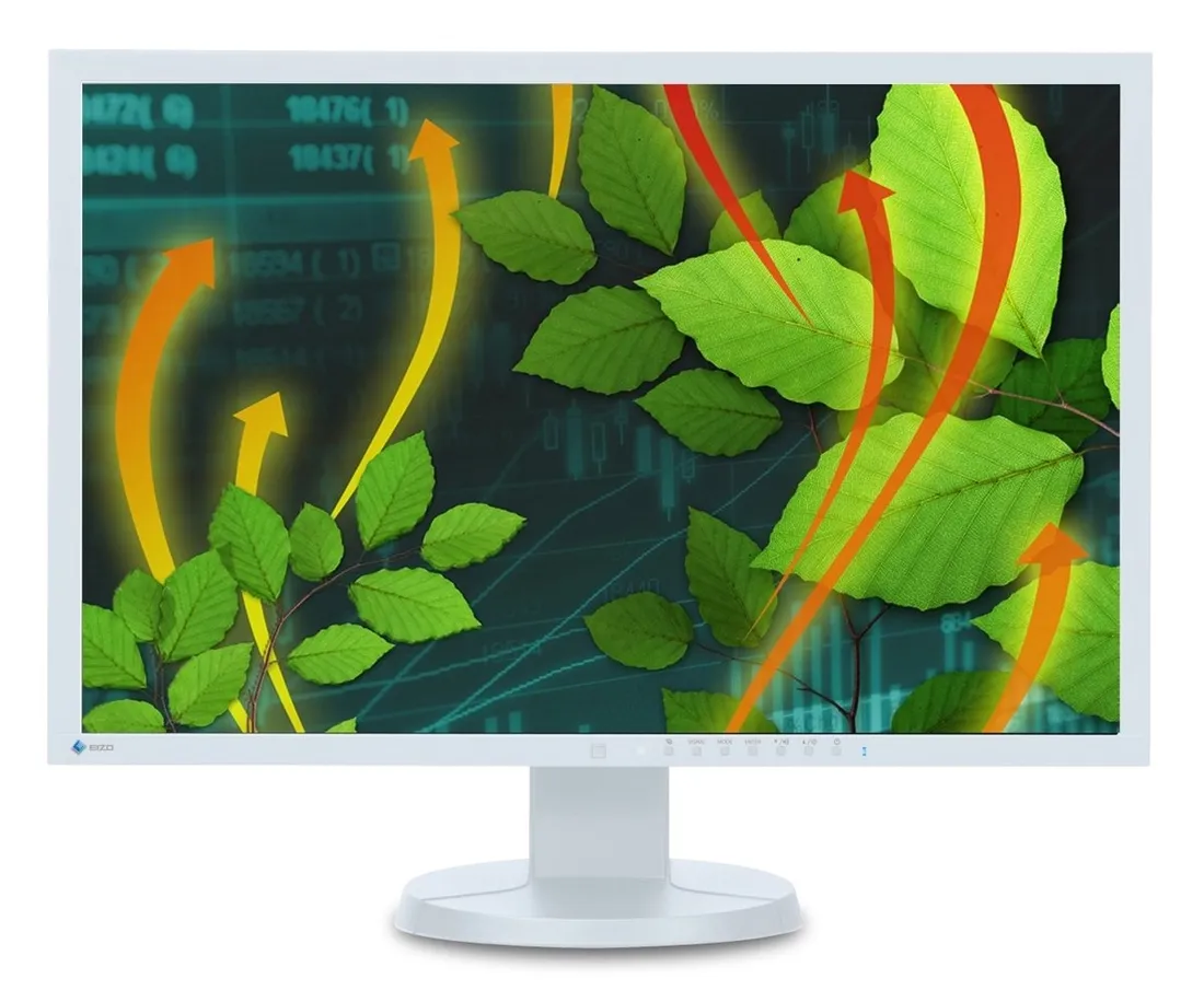 monitor-podgladowy-eizo-2249433694-612