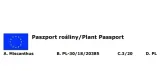 miskant-chinski-apache-miscanthus-paskowany-roslina-w-postaci-sadzonka-z-golym-korzeniem-cechy-charakterystyczne-lubiace-slonce-proste-w-pielegnacji