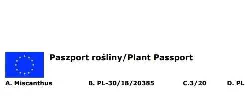 miskant-chinski-apache-miscanthus-paskowany