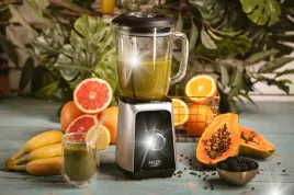 blender-kielichowy-niktrade-271401-1000-w-srebrny-szary