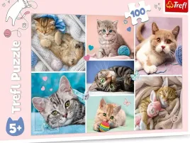 puzzle-100-elementow-wesoly-swiat-pieskow