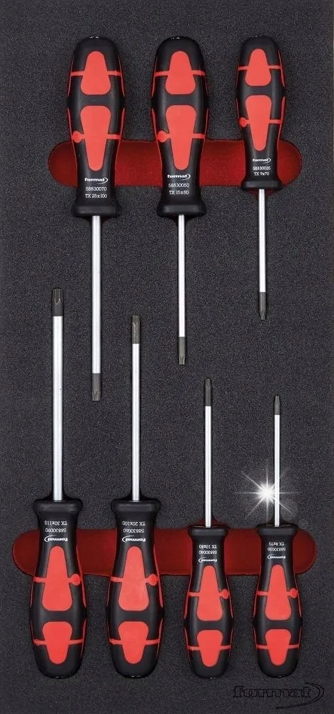 modul-narzedziowy-1-3-wkretaki-torx-format
