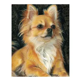 mozaika-diamentowa-haft-30x40-cm-pies-chihuahua-flamingo-line
