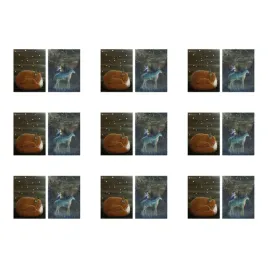 9-szt-bild-plakat-sen-pod-gwiazdami-30x40-cm